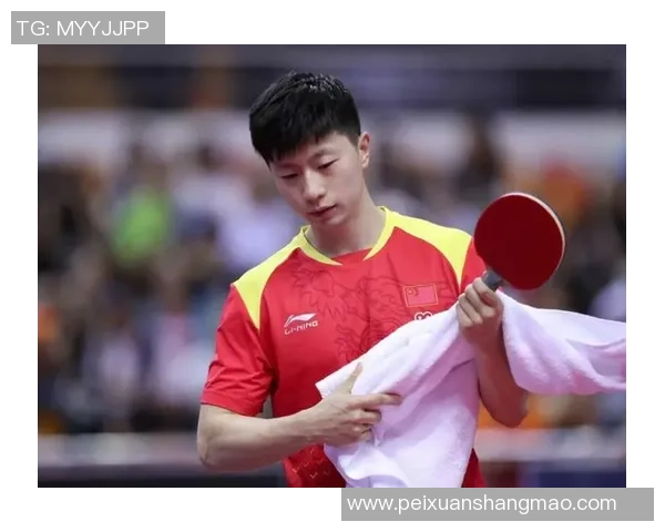 南京乒乓球队在城市联赛中的战术分析与表现评估