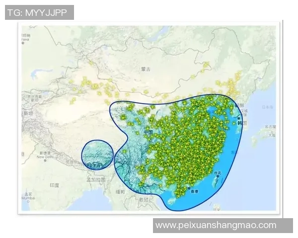 北京排球队速度对比独家解读与战术分析探讨