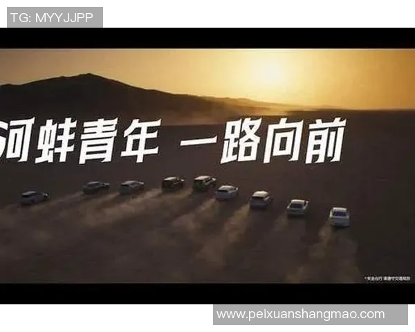 广州排球队逆袭之路揭秘世界杯预选赛背后的奋斗与坚持