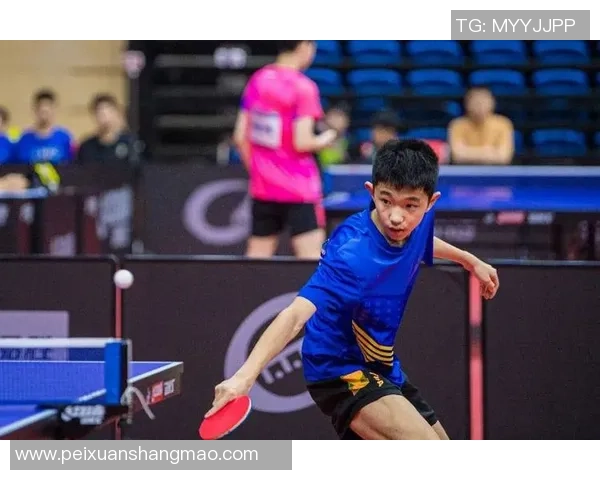 乒乓球盛宴:深入深圳乒乓球队的默契配合与训练秘辛 乒乓球盛宴:深入深圳乒乓球队的默契配合与训练秘辛