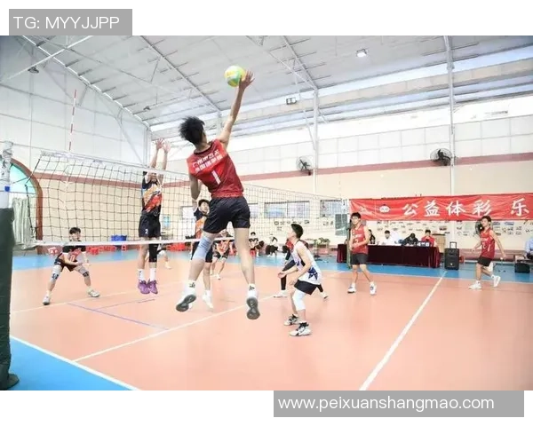 广州排球队在钻石联赛中的速度表现分析与未来展望 广州排球队在钻石联赛中的速度表现分析与未来展望