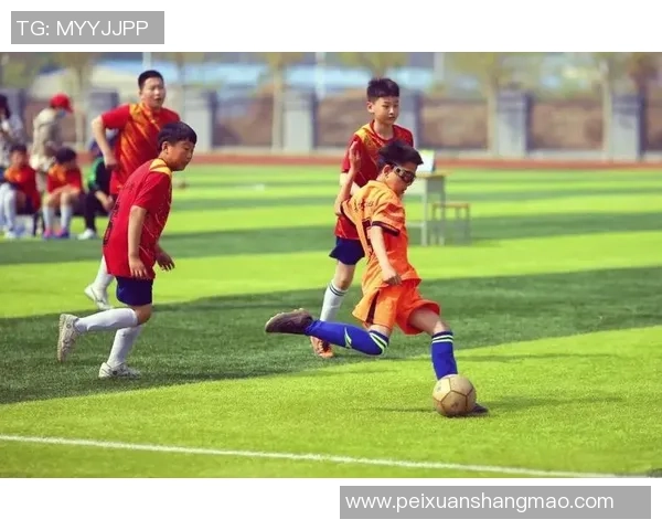 成都足球队在联赛中的耐力表现分析与未来展望 成都足球队在联赛中的耐力表现分析与未来展望