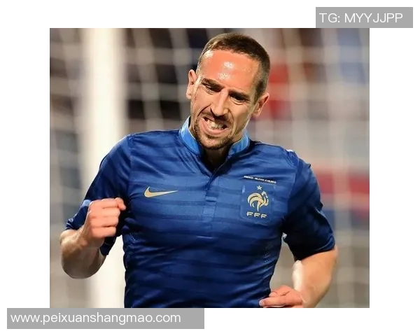 法国足球明星地图排名揭示各大球星的成就与影响力分析