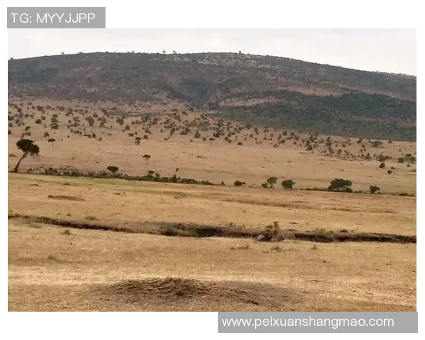 非洲足球明星回馈家乡助力发展改变命运的故事