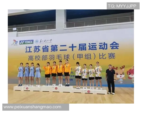 南京羽毛球队荣登羽毛球战术排行榜第一名的背后故事与战术解析