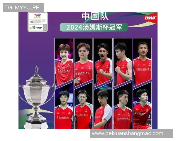 深圳羽毛球队精英赛背后的奋斗故事与荣耀历程揭秘