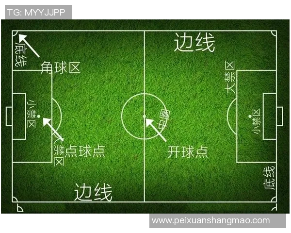 足球新手必看：从零开始的比赛经验与技巧全面指南