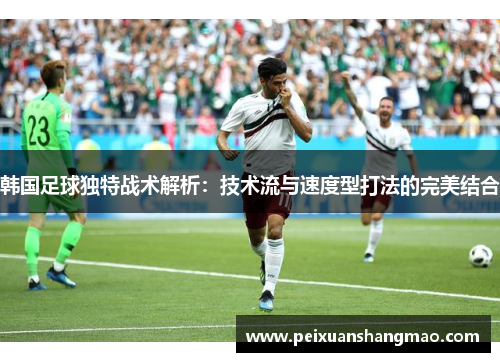 韩国足球独特战术解析：技术流与速度型打法的完美结合