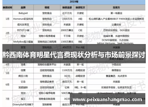 黔西南体育明星代言费现状分析与市场前景探讨