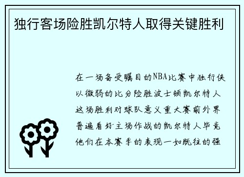独行客场险胜凯尔特人取得关键胜利