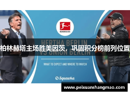 柏林赫塔主场胜美因茨，巩固积分榜前列位置