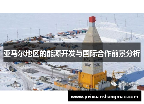 亚马尔地区的能源开发与国际合作前景分析