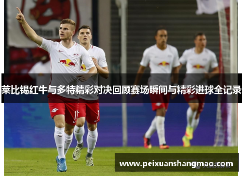 莱比锡红牛与多特精彩对决回顾赛场瞬间与精彩进球全记录
