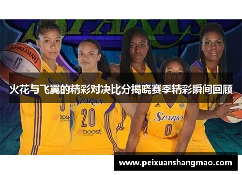 火花与飞翼的精彩对决比分揭晓赛季精彩瞬间回顾