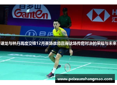 谌龙与林丹再度交锋12月赛场谁将赢得这场传奇对决的荣耀与未来